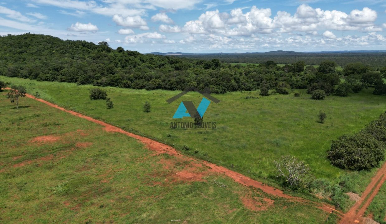 Vende-se Fazenda Municipio Campinapolis, 18km de Sao Jose do Couto Primavera do Leste MT Imobiliaria Antonio Imoveis. Cod 217IMG-20240807-WA0172