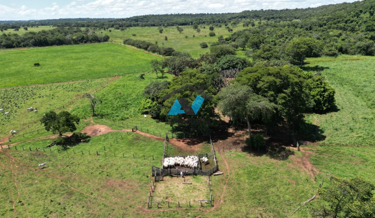 Vende-se Fazenda Municipio Campinapolis, 18km de Sao Jose do Couto Primavera do Leste MT Imobiliaria Antonio Imoveis. Cod 217IMG-20240807-WA0174