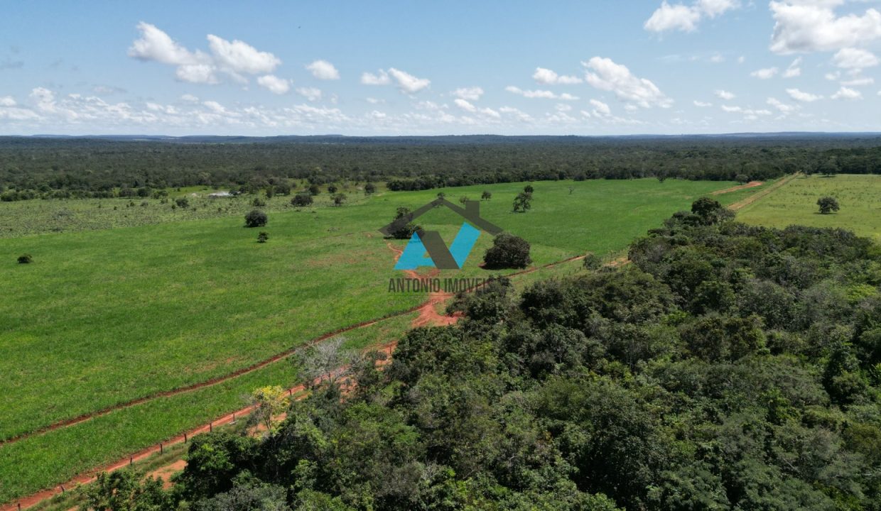 Vende-se Fazenda Municipio Campinapolis, 18km de Sao Jose do Couto Primavera do Leste MT Imobiliaria Antonio Imoveis. Cod 217IMG-20240807-WA0181