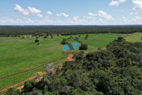 Vende-se Fazenda Municipio Campinapolis, 18km de Sao Jose do Couto Primavera do Leste MT Imobiliaria Antonio Imoveis. Cod 217IMG-20240807-WA0181