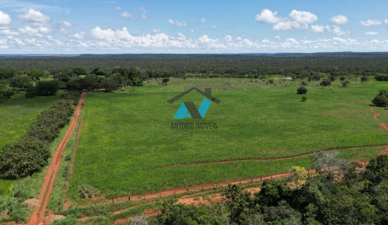 Vende-se Fazenda Municipio Campinapolis, 18km de Sao Jose do Couto Primavera do Leste MT Imobiliaria Antonio Imoveis. Cod 217IMG-20240807-WA0182